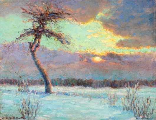 Tree With Sunset On Snow