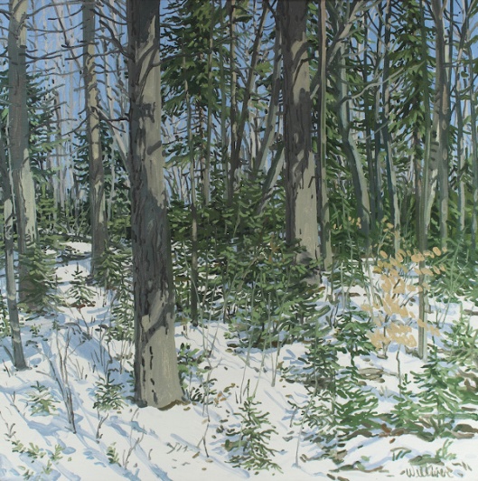 Study For Little Spruce